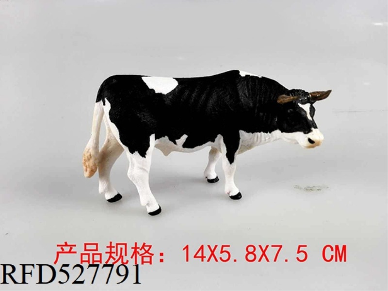 COWS (WITH HORNS)