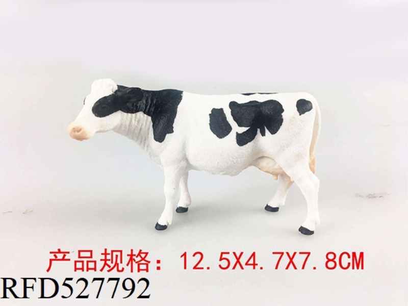 HOLSTEIN COW