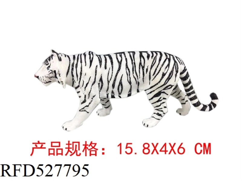 WHITE AMUR TIGER