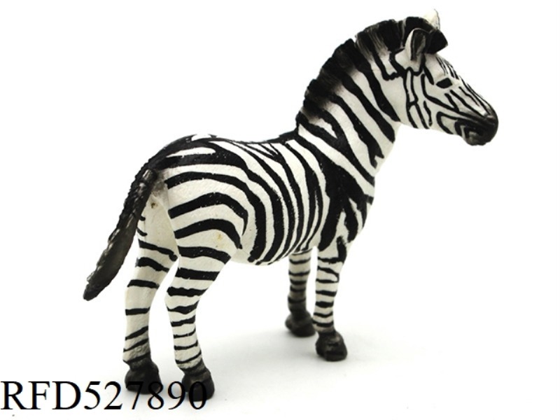 MALE ZEBRA