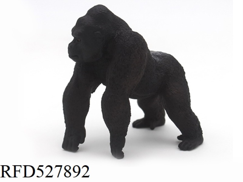 CHIMPANZEE