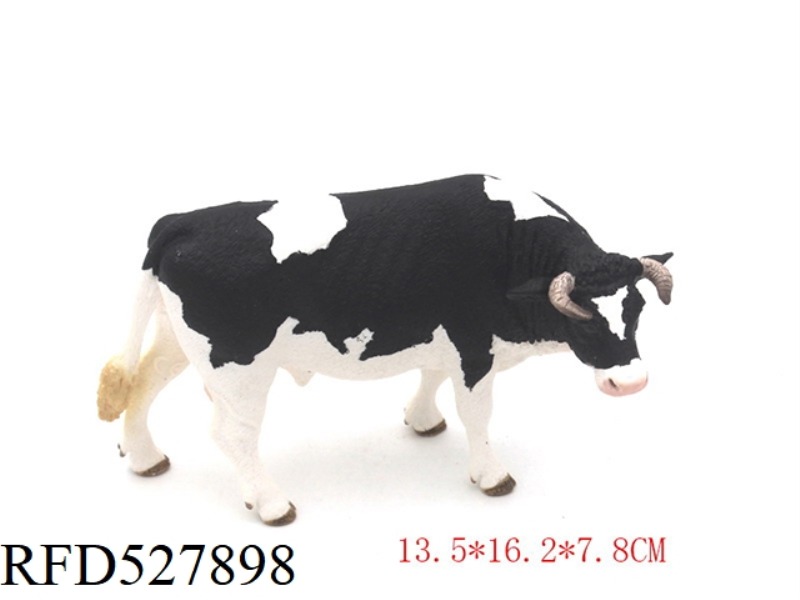 HOLSTEIN BULL