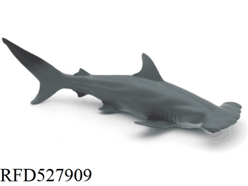 HAMMERHEAD SHARK