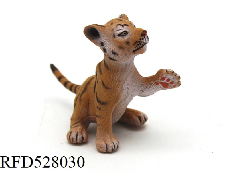 PLAYING WITH LITTLE TIGERS