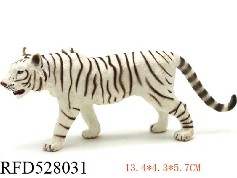 MALE WHITE TIGER