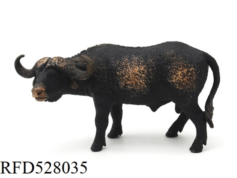AFRICAN BUFFALO