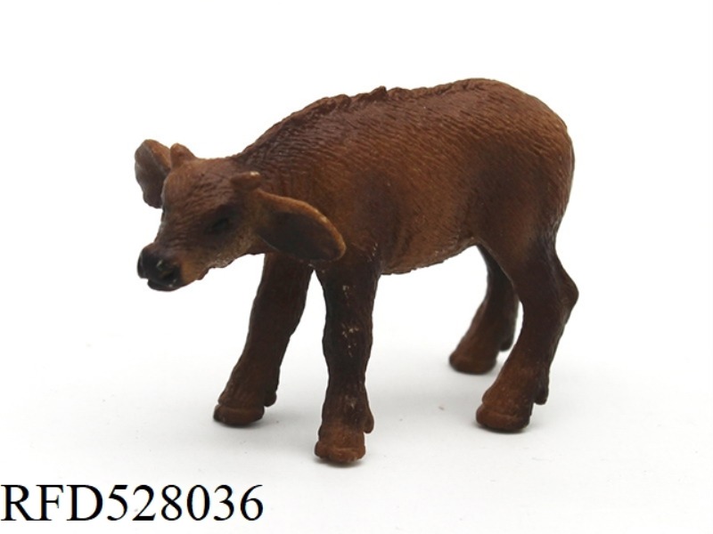 LITTLE AFRICAN BUFFALO
