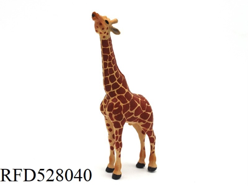 MALE GIRAFFE