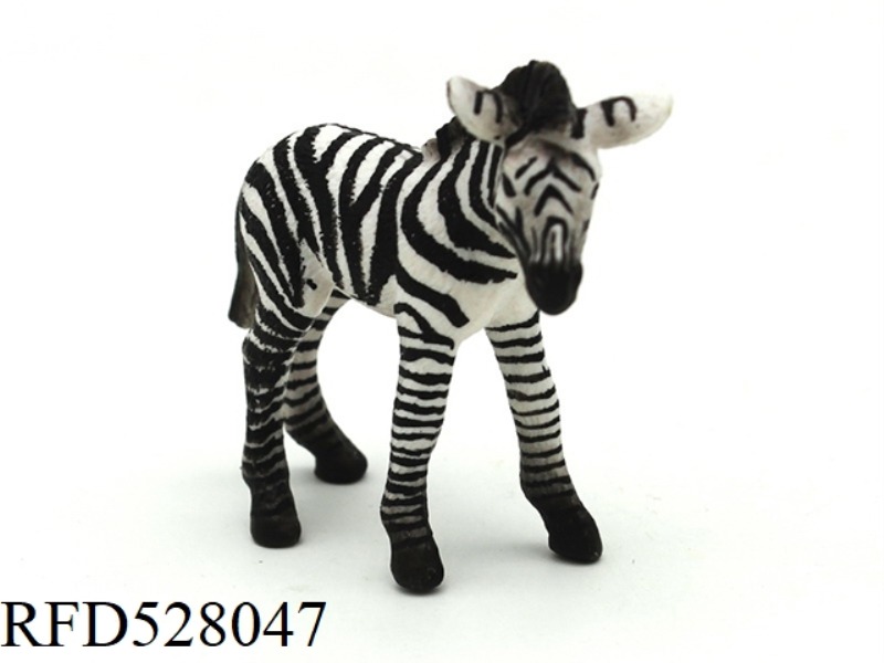 LITTLE ZEBRA