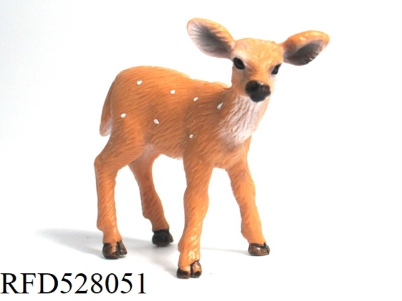 LITTLE WHITE TAIL DEER (SMOOTH FACE)