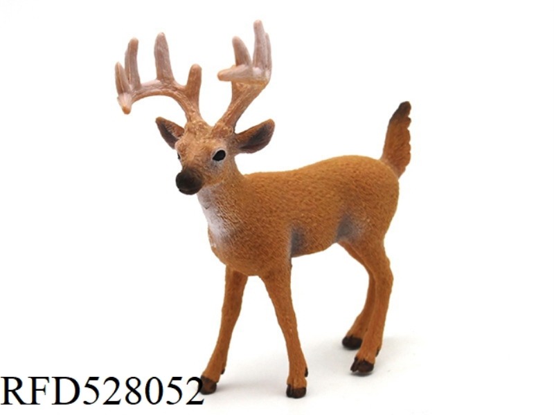 MALE WHITE TAIL DEER (ROUGH FACE)
