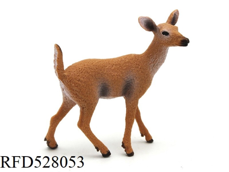 WHITE TAILED FEMALE DEER (ROUGH)