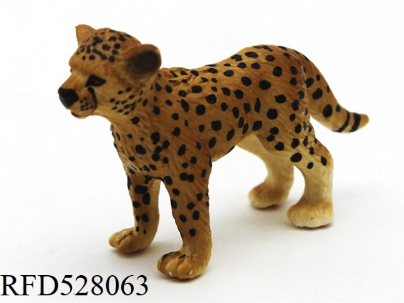 LITTLE AFRICAN LEOPARD