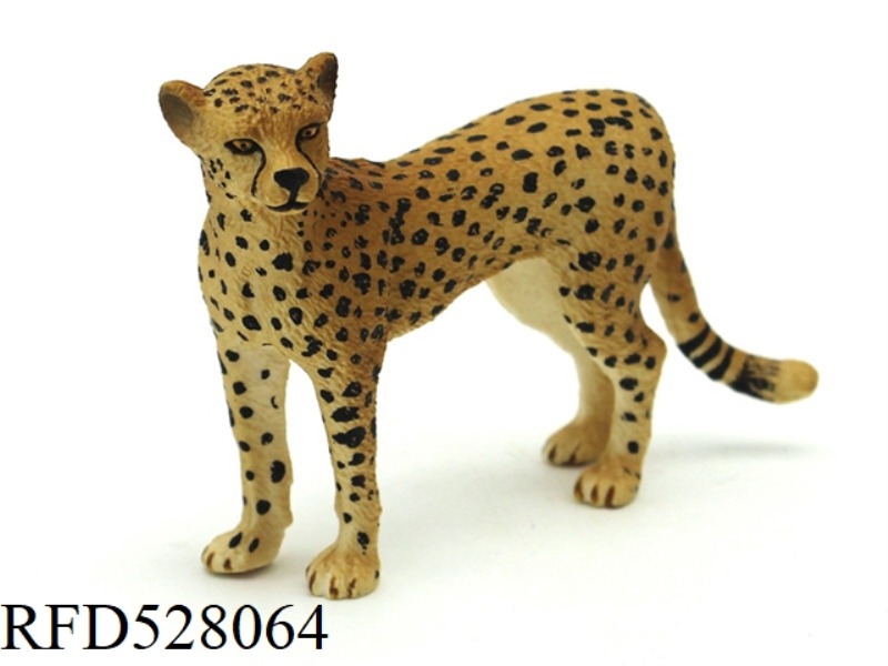 AFRICAN CHEETAH
