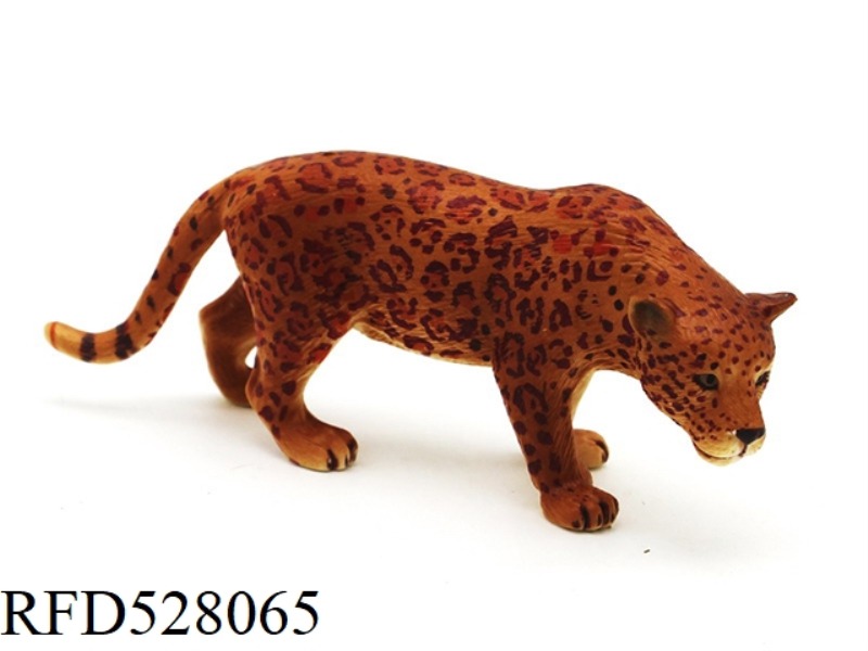 MALE JAGUAR