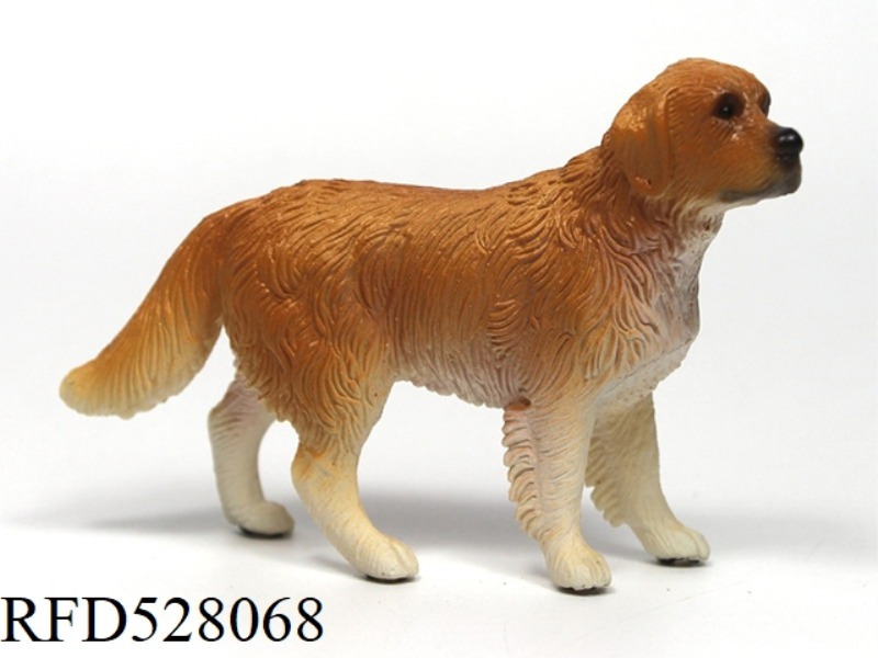MALE GOLDEN HAIRED DOG