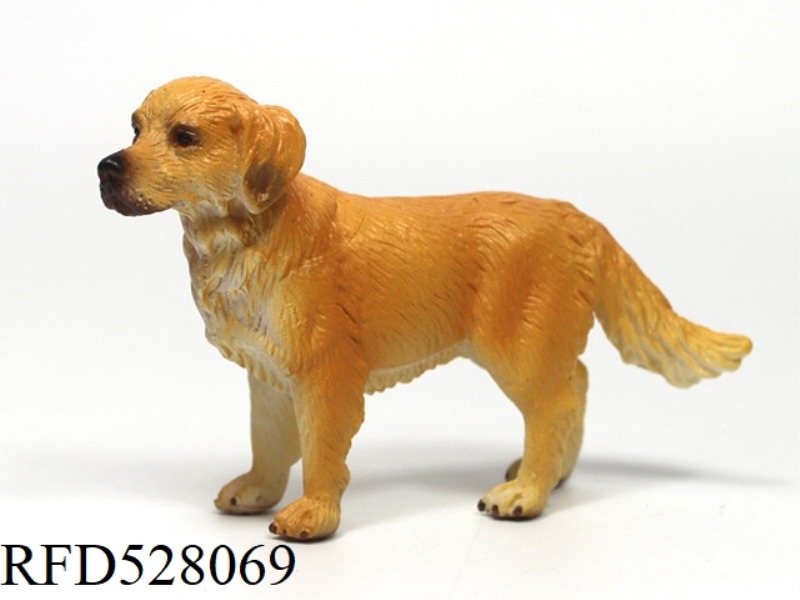 FEMALE GOLDEN HAIRED DOG