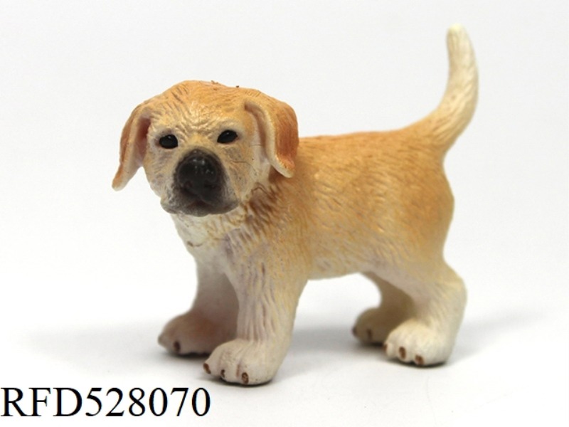STANDING GOLDEN RETRIEVER