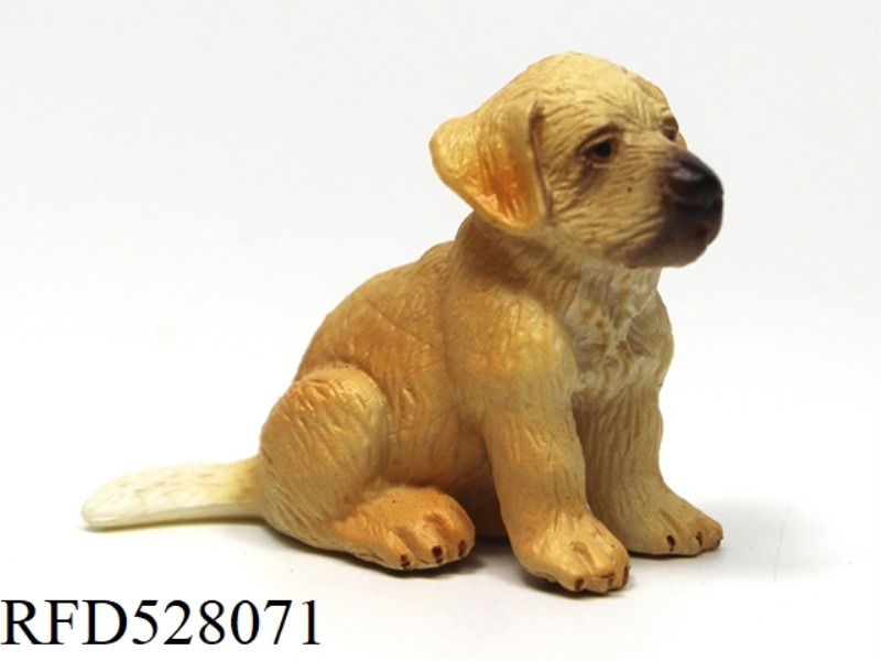 SITTING GOLDEN RETRIEVER