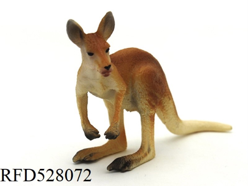 MALE KANGAROO