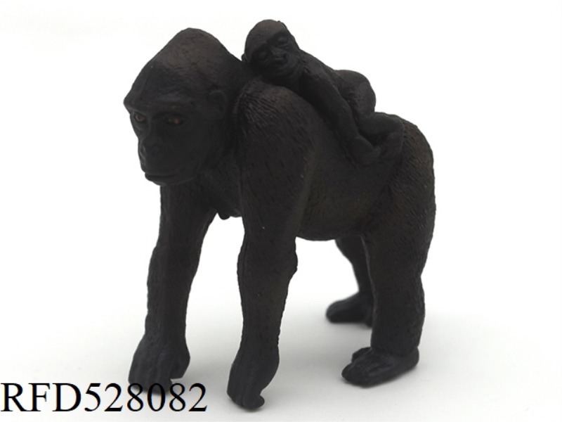 BACKED CHIMPANZEES