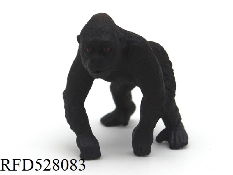 LITTLE CHIMPANZEE