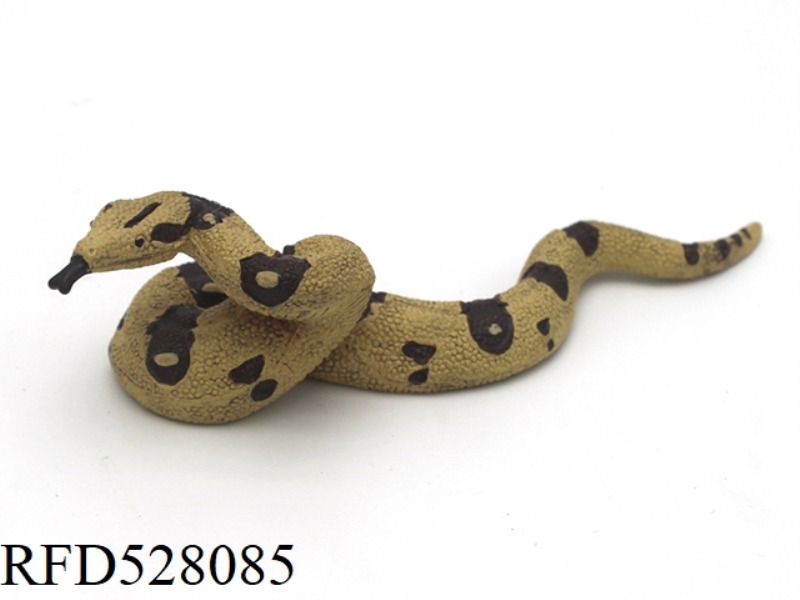 BOA CONSTRICTOR
