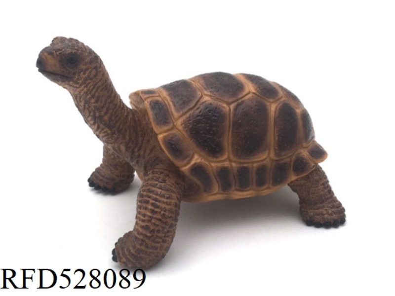 ELEPHANT TURTLE (BROWN)