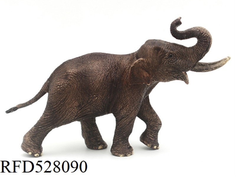 MALE ASIAN ELEPHANT (ROUGH)
