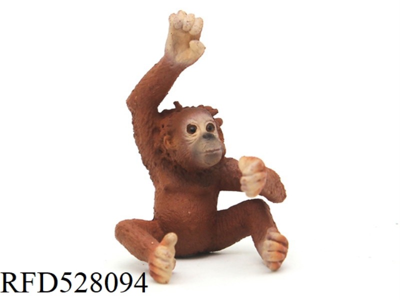 LITTLE ORANGUTAN