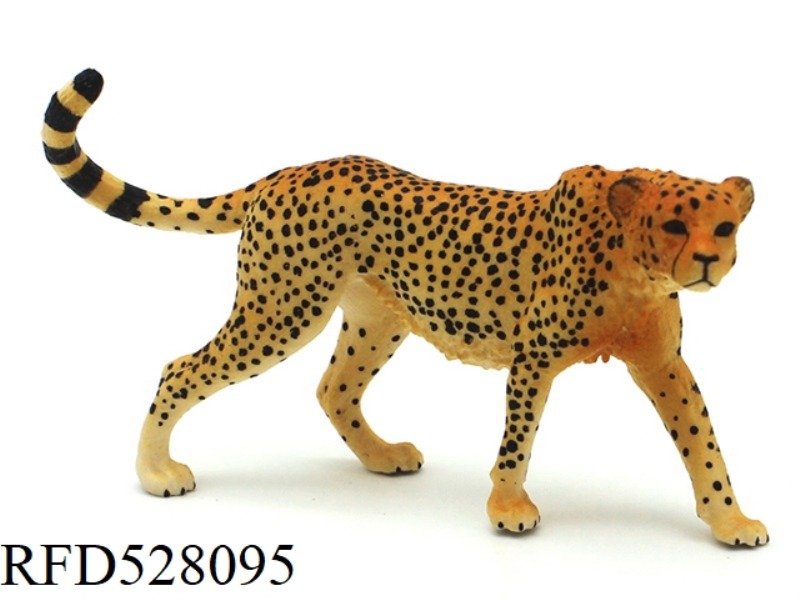 UPSET TAILED AFRICAN CHEETAH