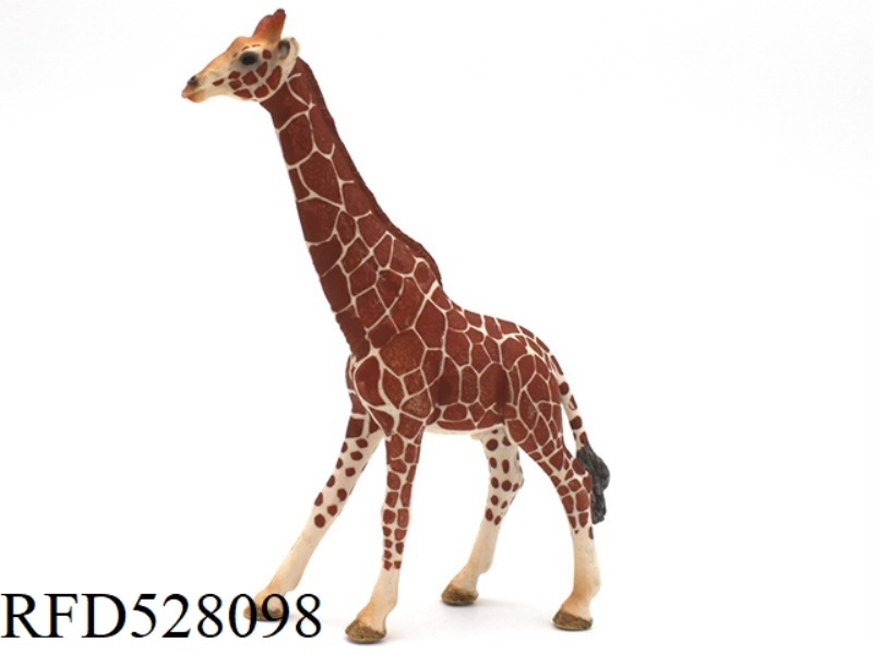 NEW MALE GIRAFFE