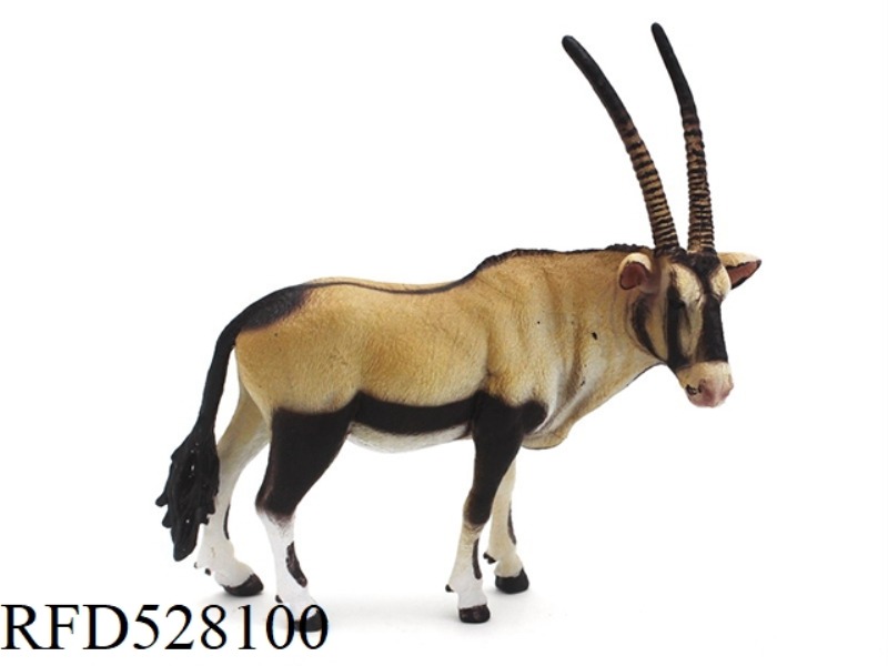 ORYX GAZELLA