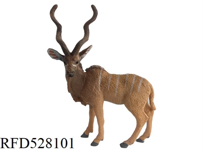 PRONGHORN ANTELOPE