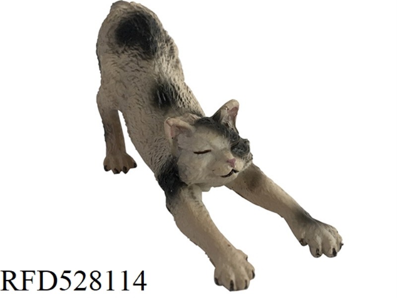LAZY CAT