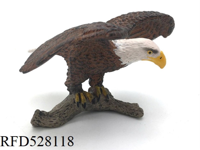 WHITE HEADED EAGLE