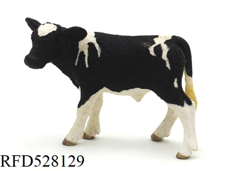 HOLSTEIN CALF