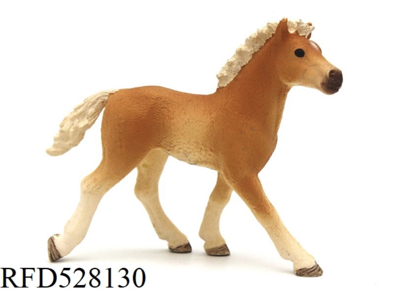 HAVLIN PONY