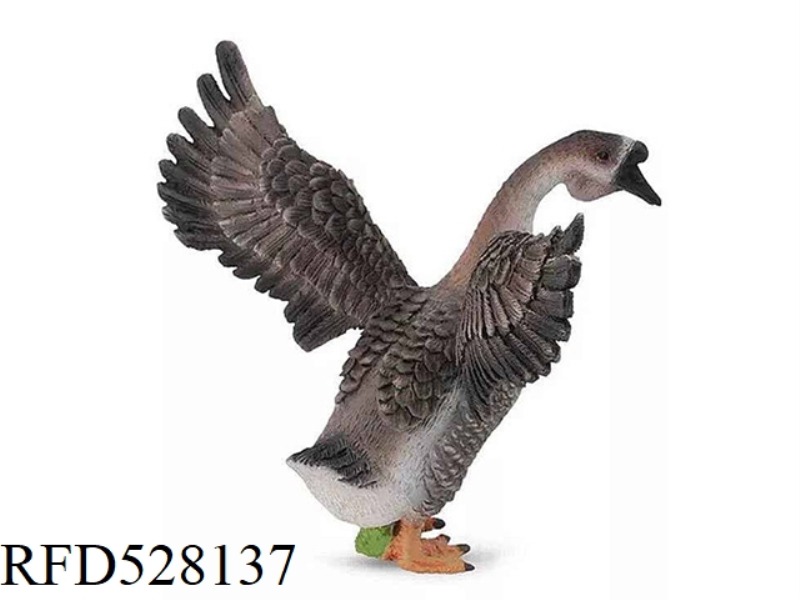 MALE GOOSE
