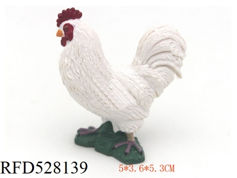 WHITE ROOSTER