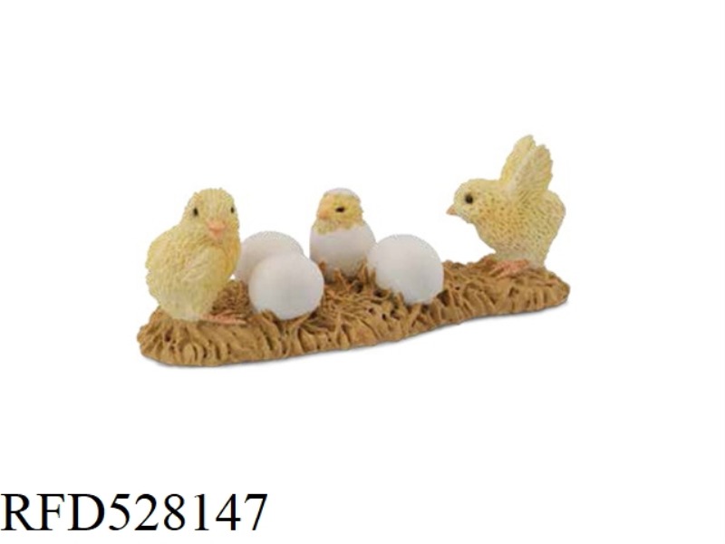CHICKENS INCUBATE EGGS