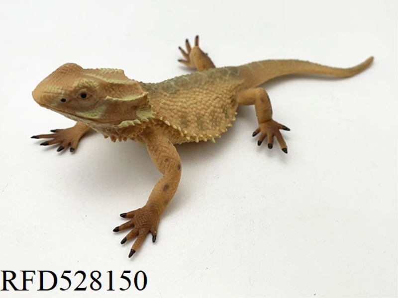 LIZARD