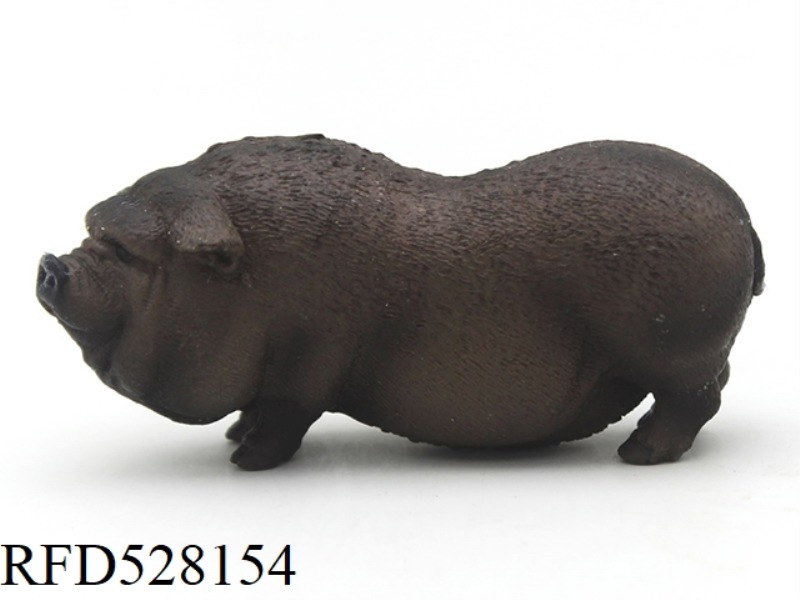 LARGE BELLIED PIG