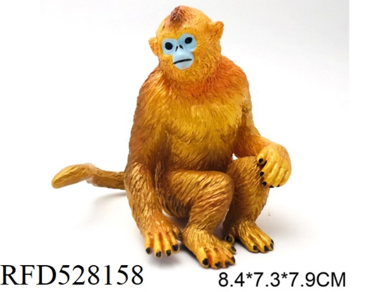 BIG GOLDEN MONKEY