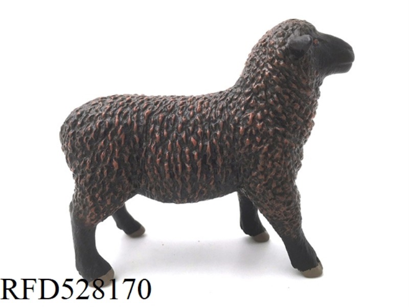 SHEEP BROWN