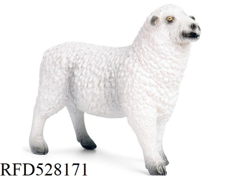 SHEEP WHITE
