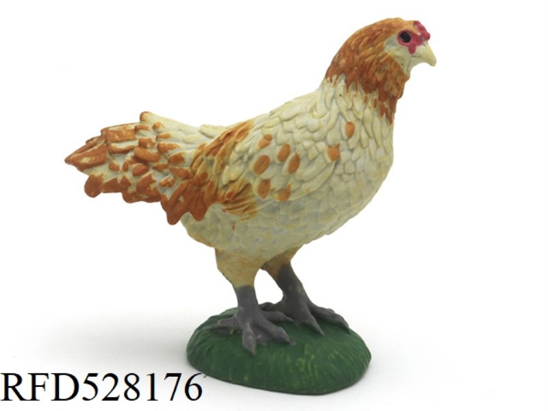 AMERICAN CHICKEN