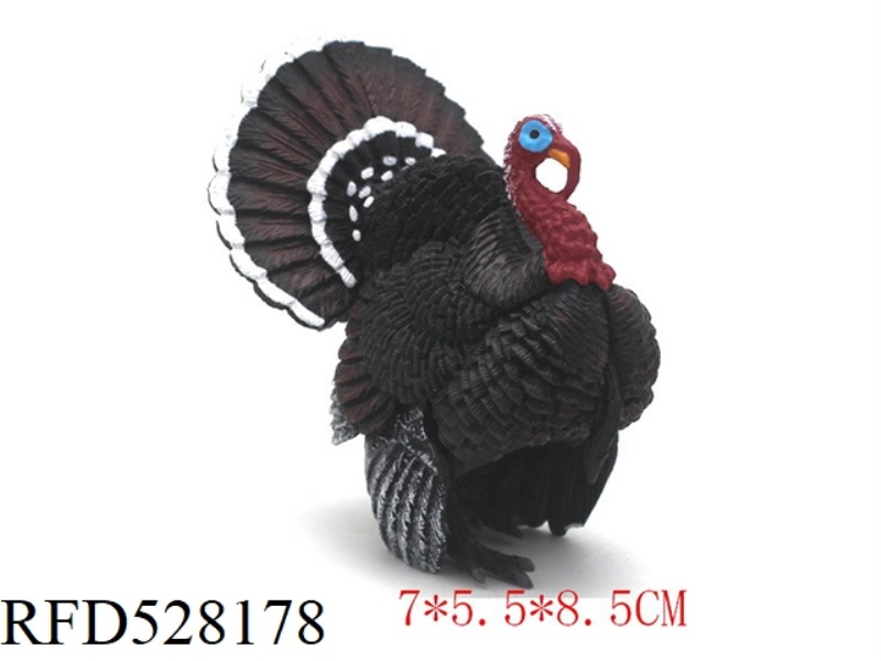 TURKEY