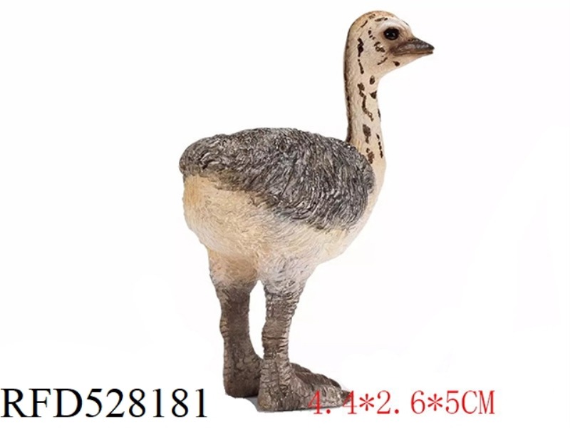 LITTLE OSTRICH