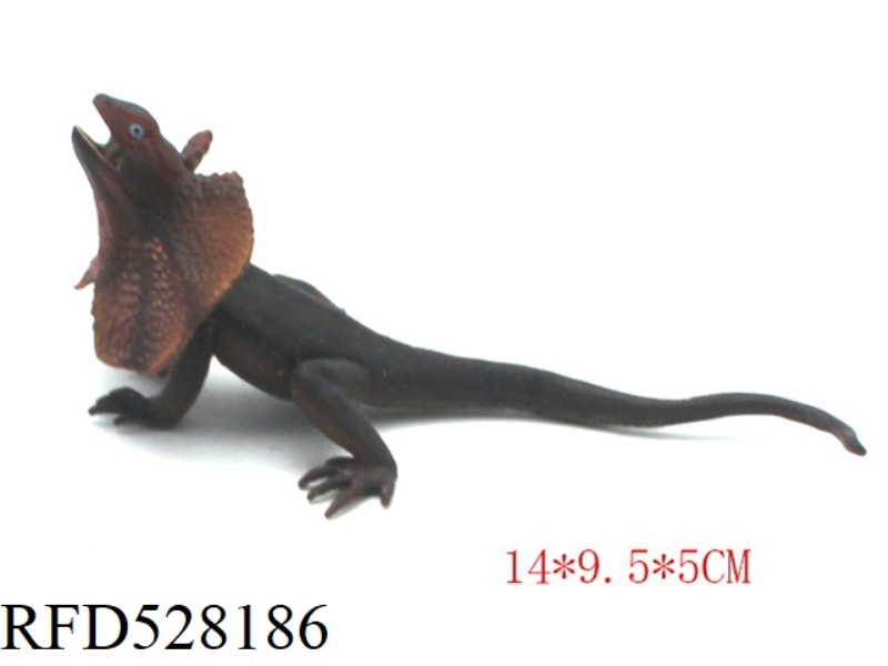UMBRELLA LIZARD